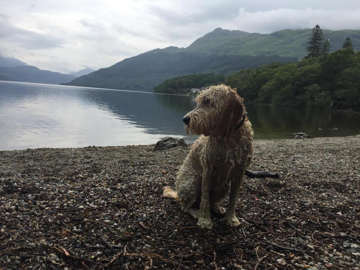 Ben Lomond Lodge Rowardennan Exteriör bild